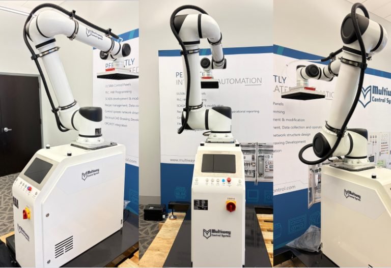 Pick and place robotic system with vision
